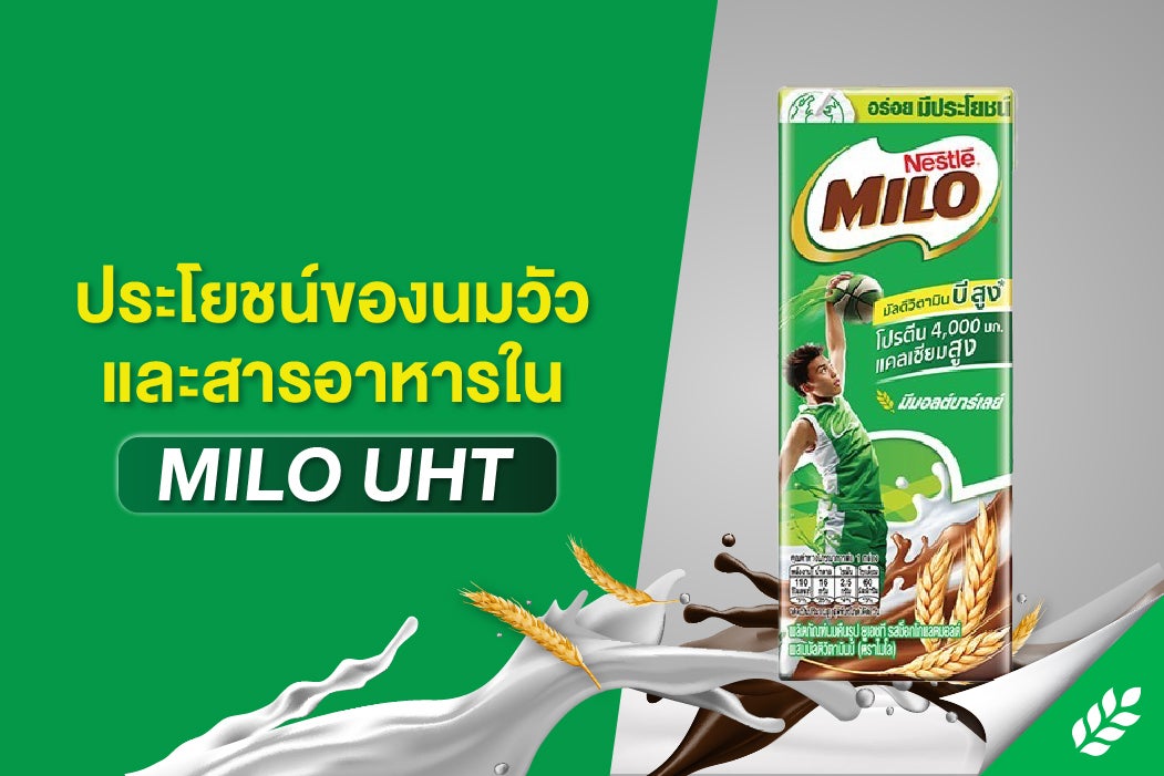 
ประโยชน์ของนมวัว และสารอาหารใน MILO UHT ที่คุณแม่มั่นใจ
