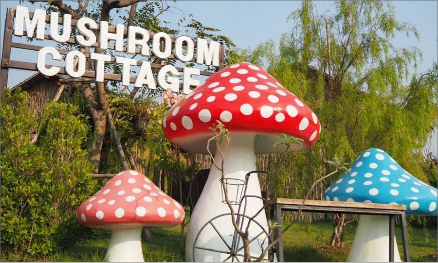 คาเฟ่สำหรับเด็ก Mushroom Cottage Farm